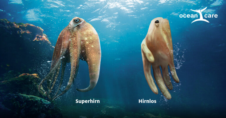 Oktopus_DE_FB_Image_1200x627