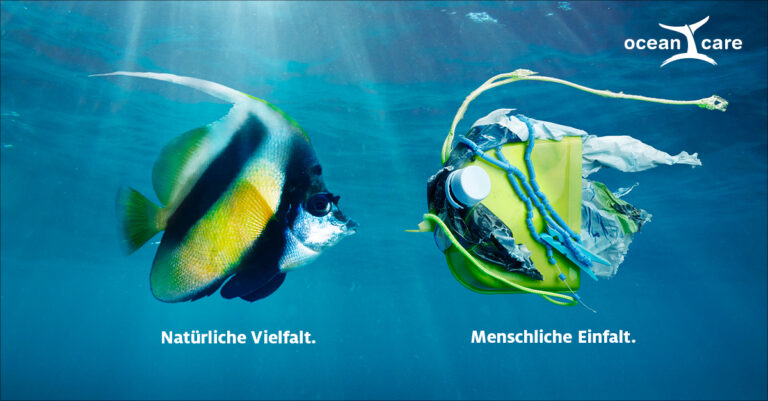 Wimpelfisch_DE_1200x627